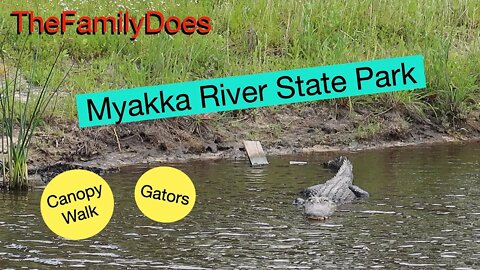 TheFamilyDoes Florida's Myakka River State Park