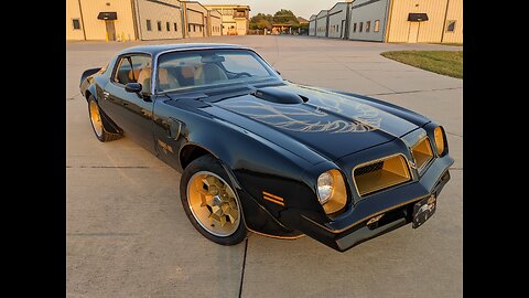 1976 Pontiac Trans Am Special Edition Bandit 455 7.5L Performance Automatic Restomod Black Gold