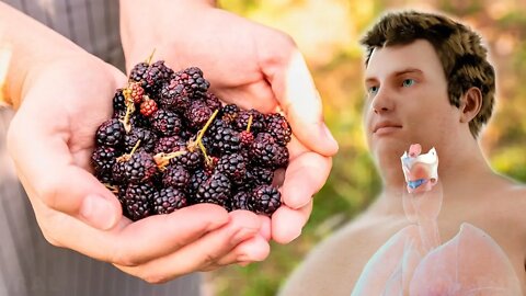 5 Reasons Why Blackberries Are Among the Healthiest Foods on Earth