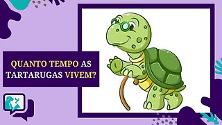 Quanto Tempo as Tartarugas de Estimação Vivem?