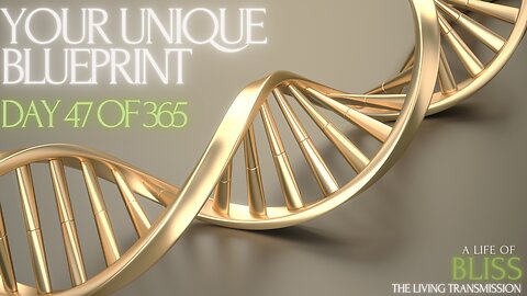 Day 47 - Your Unique Blueprint