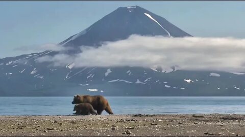 Kamchatka, life begins, respect for nature 17