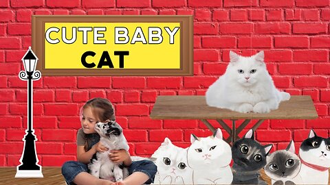 Cute Baby Cat 🐱 | Pet lovers 🐕🦴 | Funny video 😂