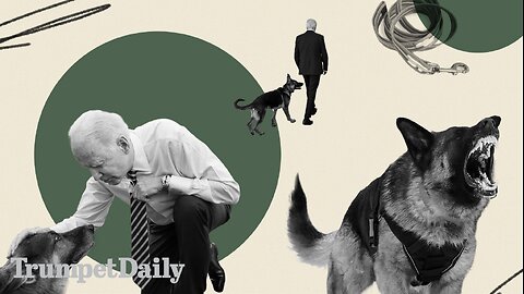 The Biden Dog Commander and the Commander in Chief - Trumpet Daily | Feb. 22, 2024