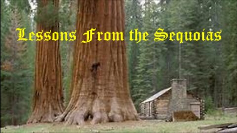 Lessons from the Sequoia