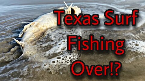 How is Surf Fishing after 2021 Texas Freeze Fish Kill, Corpus Christi, Port Aransas