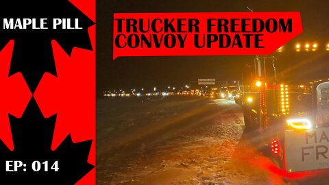 Maple Pill Ep 014 - Canada Trucker Freedom Convoy 2022 Update & More