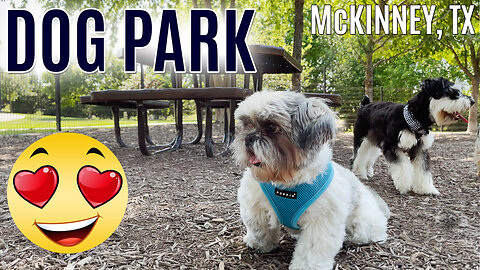 ONE-OF-A-KIND DOG PARK IN McKINNEY TX - Things to do in McKinney TX - Bonnie Wenk Park