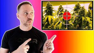 Will We legalize Marijuana??? | Booze News
