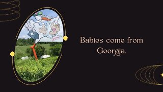 Where Do Babies Come From? Babyland General Hospital, Of Course!