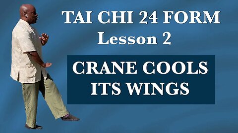 Tai Chi 24 Form Lesson 2-Crane Cools Its Wings with Todd Martin MD