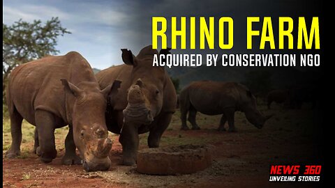 World's Largest Rhino Farm Acquired by Conservation NGO || News 360 ||