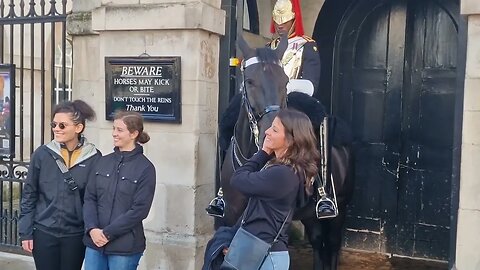 Horse nips nervous tourist #horseguardsparade