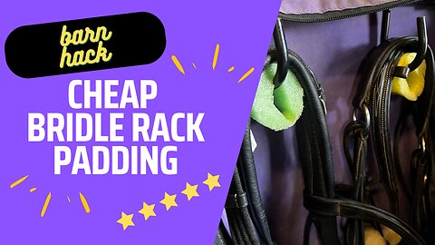 Cheap Bridle Rack Padding!