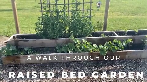 Raised Bed Gardening in Alberta, Canada | Painting Our Door A Bright Color? | Pileated Wood Pecker!