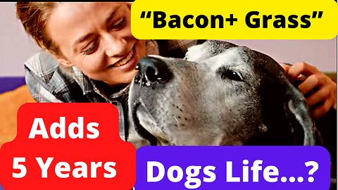 🔥✝️Feeding Your Dog This Can Add Up To 5 Years to Their Life |🔥 Puppies Care