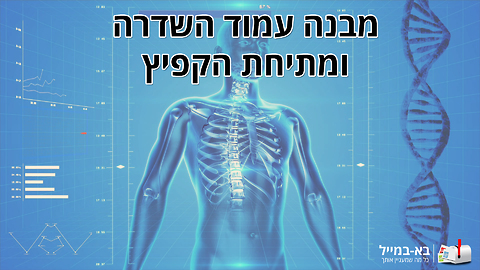 מבנה עמוד השדרה ומתיחת קפיץ