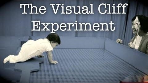The Horrible Aspects of Science: The Visual Cliff Experiment 1960