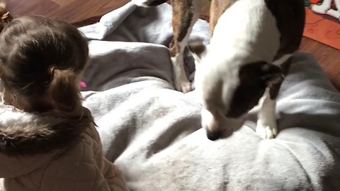 Little girl giving her best dog a hug