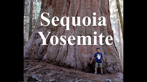 Donald and Jada Go To Sequoia and Yosemite