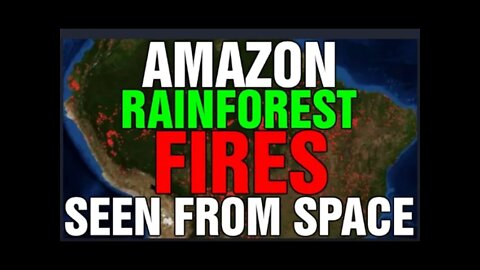 Amazon Rainforest Fires Can Be Seen From Space! Despair Merchantry [CLIP]