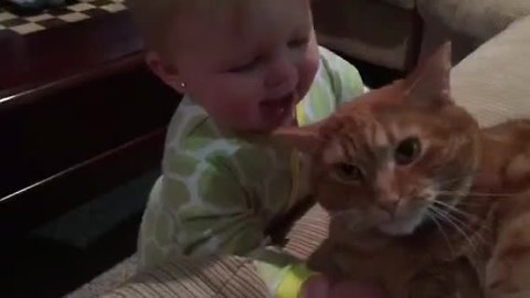 Baby loves her cat so much she tries to eat him!