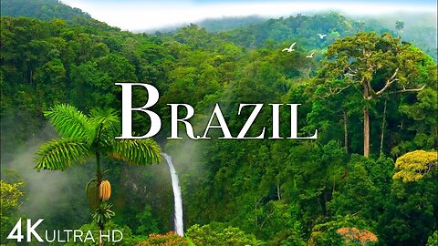 Brazil In 4k - Beautiful Tropical Country | - Scenic Relaxation Film