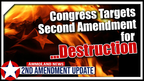 Congress Wants to Cripple Our 2nd Amendment