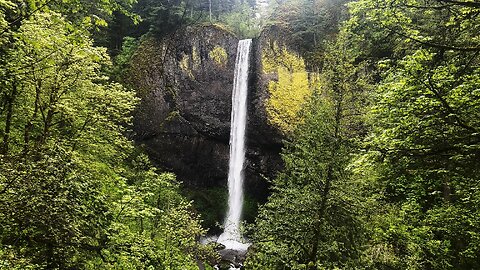 2 MINUTES OF SOOTHING SILENCE! | Latourell Falls | Columbia River Gorge National Scenic Area | 4K