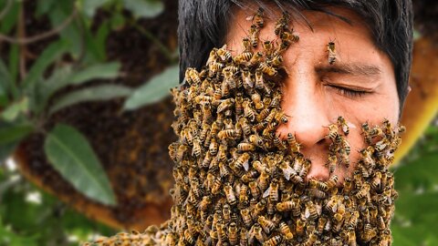 Why Is This Man Covered in Bees?