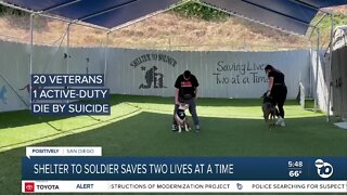 Shelter to Solider aims to 'save lives two at a time'