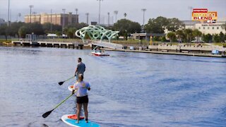 Tampa Riverwalk Celebrates Halloween | Morning Blend