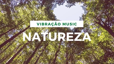 NATUREZA: MUSICA INSTRUMENTAL COM SONS DE NATUREZA