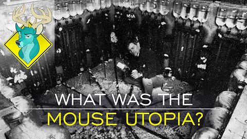 TL;DR - What was the Mouse Utopia [31/Jul/17]