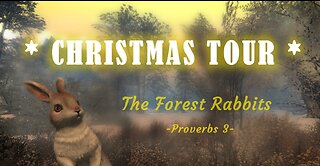 CHRISTMAS TOUR - The Forest Rabbits