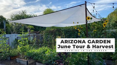 June GARDEN TOUR & HARVEST: Growing in the Garden