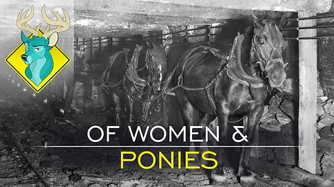 TL;DR - Of Women and Ponies [17/Jul/17]