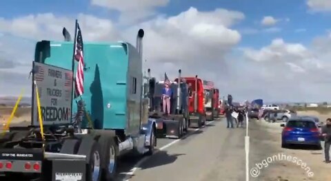 Trucker Freedom Convoy USA