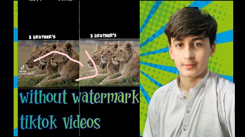 download tiktok video without watermark)(tiktok video download without watermark)