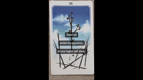 MEDITATION #standtall #opposition #shine #ownit #tarot #tarotary #dailycard #overcome #confidence