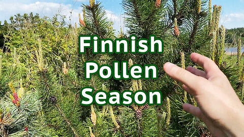 Finnish Pollen Season