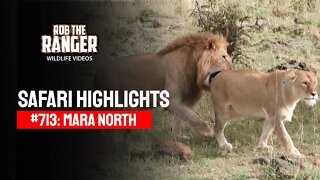 Safari Highlights #713: 29 August 2022 | Mara North/Zebra Plains | Latest Wildlife Sightings