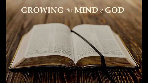 Growing the Mind of God - Wisdom and the Brain