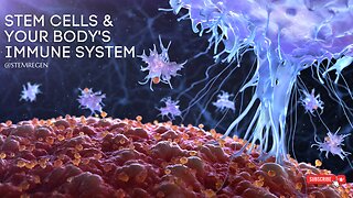 Stem Cells and the Immune System