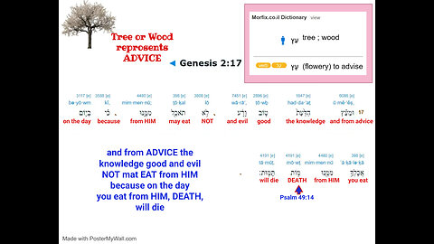 🌳Genesis 2:17🌳WHO IS THE TREE🌳(ADVICE) of KNOWLEDGE ?? What the SCRIBES HID in translation🌳