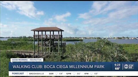 Walking Club: Exploring Boca Ciega Millennium Park in Seminole