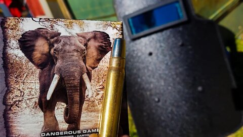 Elephant Gun vs S.W.A.T. Riot Shield 🐘😳