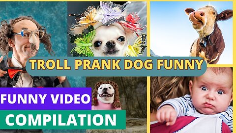 Prank Dog Funny & fake Lion and Fake Tiger Prank To dog # rumble