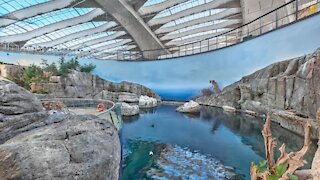 Voici à quoi ressemble maintenant le Biodôme de Montréal après les rénovations