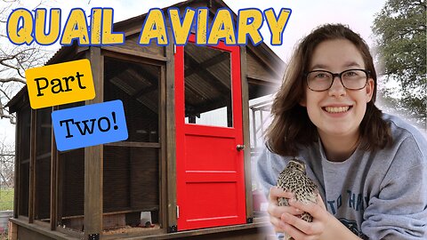 Finishing My Daughter's Quail Aviary | Part 2